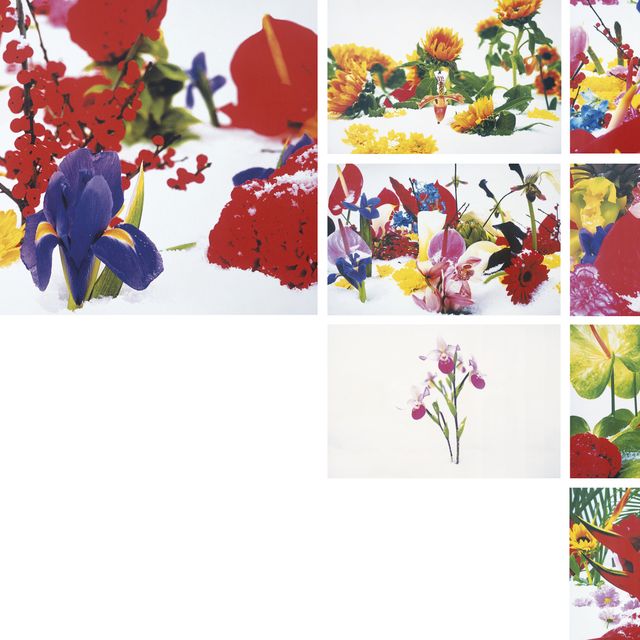 Marc Quinn — Зимний сад