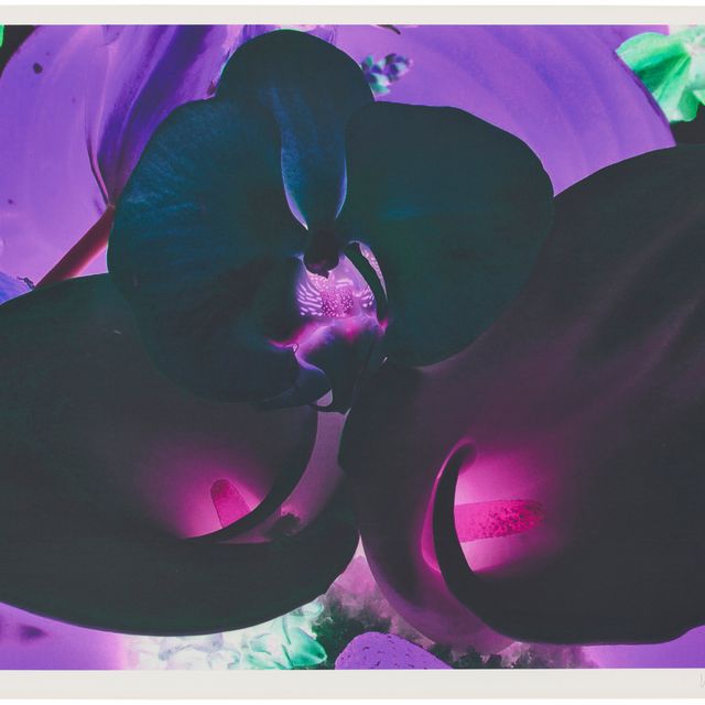 Marc Quinn — Фото 6, из фильма "На дальних окраинах Вселенной"