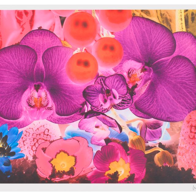 Marc Quinn — Фото 4, снятое: На дальних окраинах Вселенной