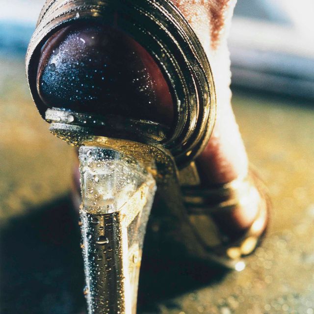 Marilyn Minter — Голди