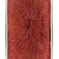 Mark Tobey — Без названия