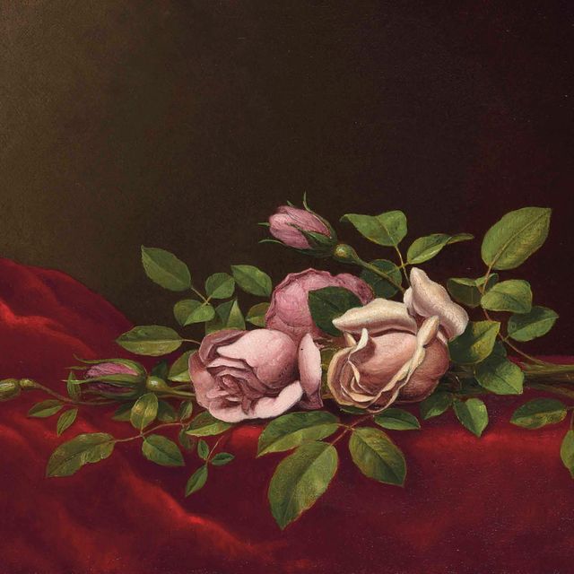 Martin Johnson Heade — Розовые розы на красной ткани