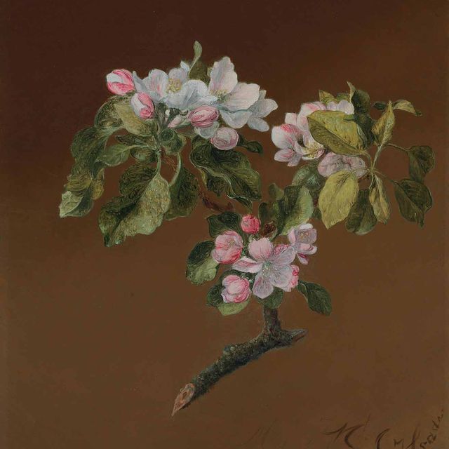 Martin Johnson Heade — Веточка яблоневого цвета