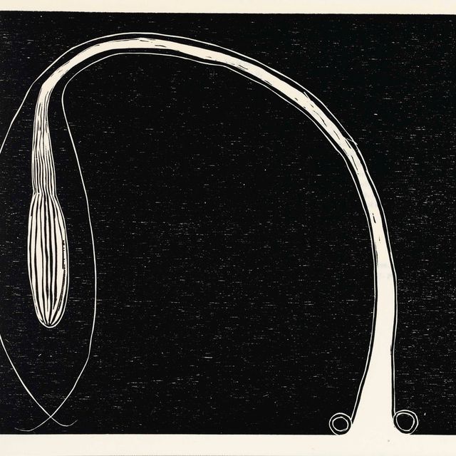 Martin Puryear — Тростник
