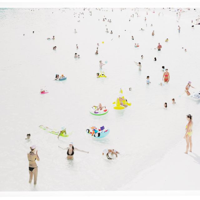Massimo Vitali — Animaletti 2, из коллекции пейзажей и рисунков