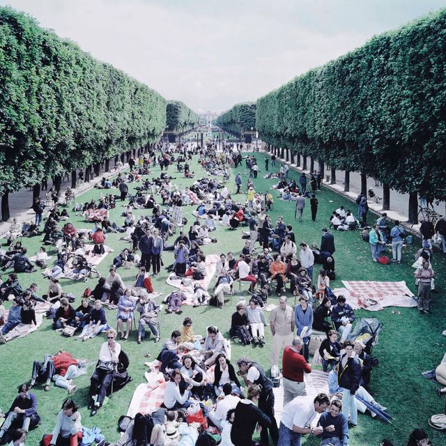 Massimo Vitali — Аллея для пикника, из пейзажа с фигурами