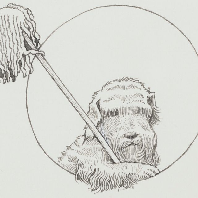 Maurice Sendak — Дженни и швабра из "Хигглети Пигглети Поп"!