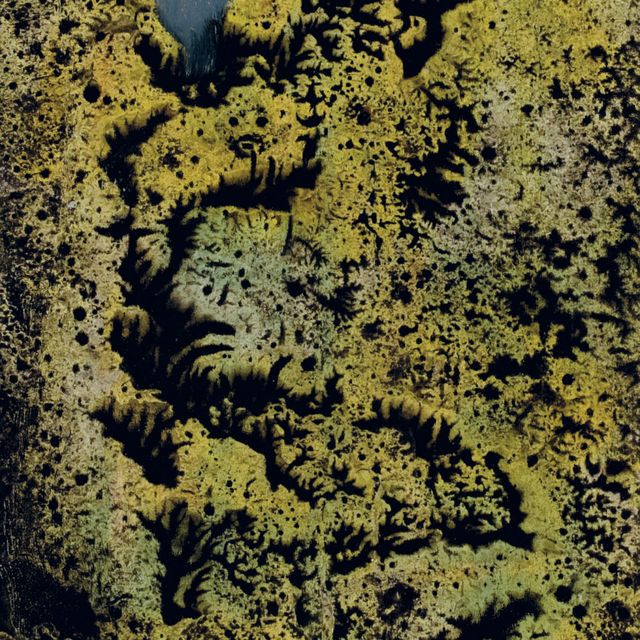 Max Ernst — Без титра