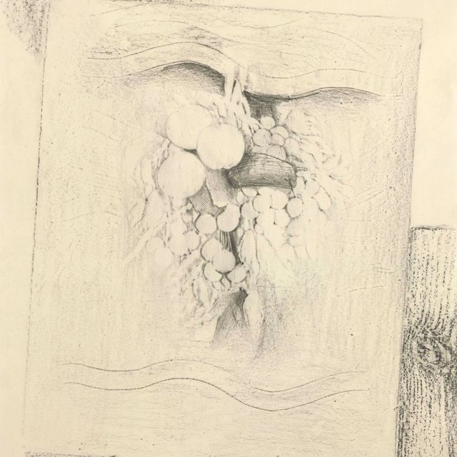 Max Ernst — Фрукты