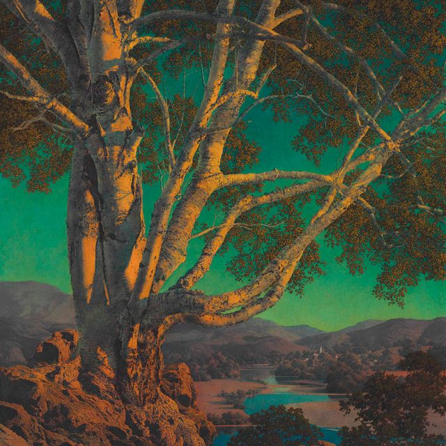 Maxfield Parrish — Старая белая береза
