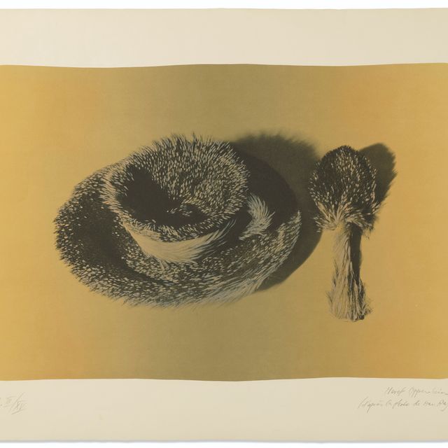 Méret Oppenheim — Пельцтассе (желтый фонд)