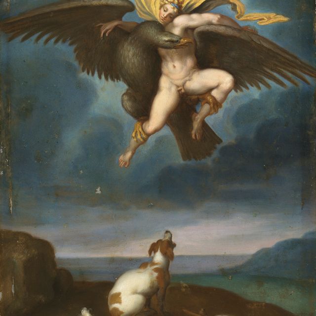 Michelangelo — Похищение Ганимеда