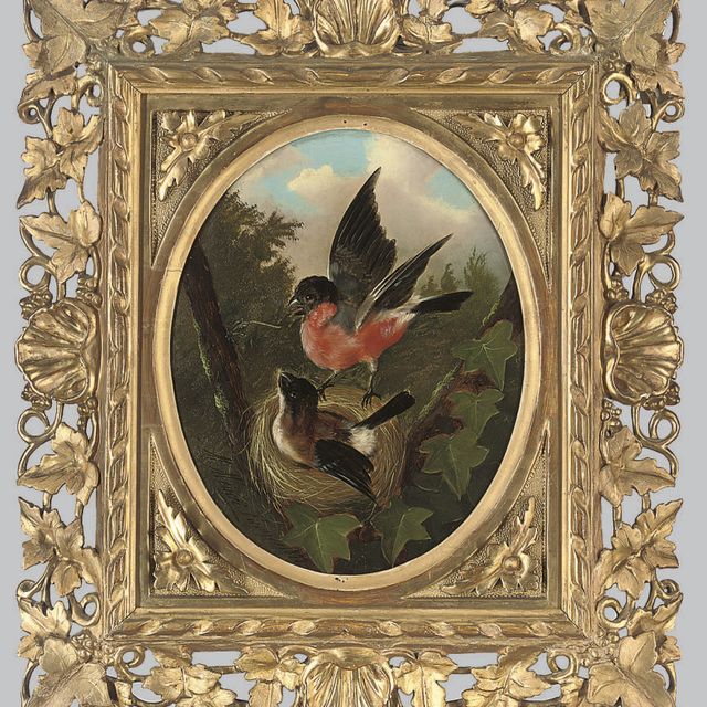 Michelangelo — Охраняющий гнездо