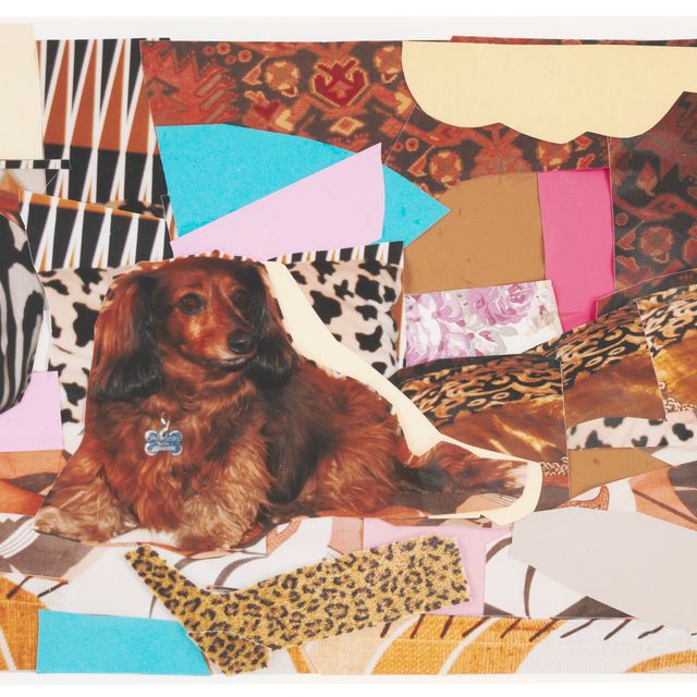 Mickalene Thomas — Портрет Присциллы Пети Шьен