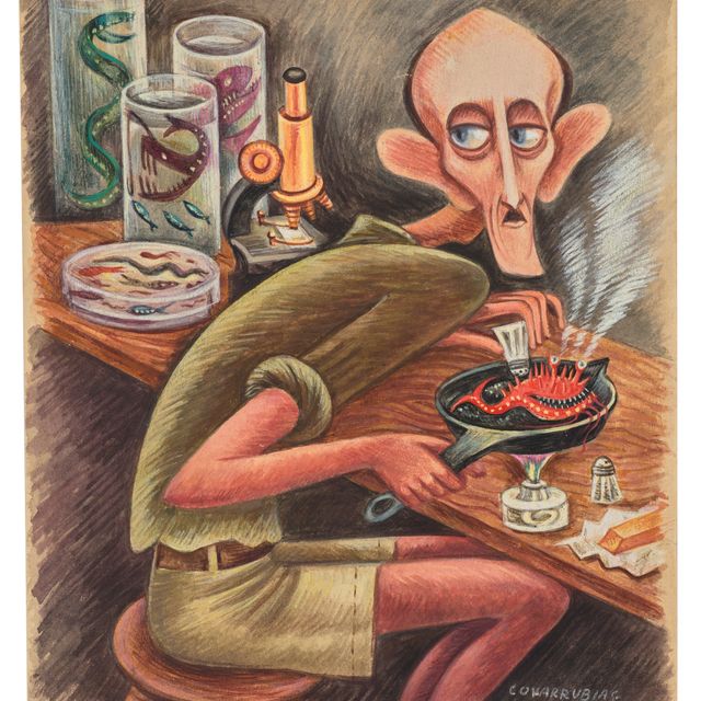 Miguel Covarrubias — Профессор Биб, гурман и ихтиолог, тайно поджаривает свою Новую находку, вместо того чтобы собрать ее для потомков
