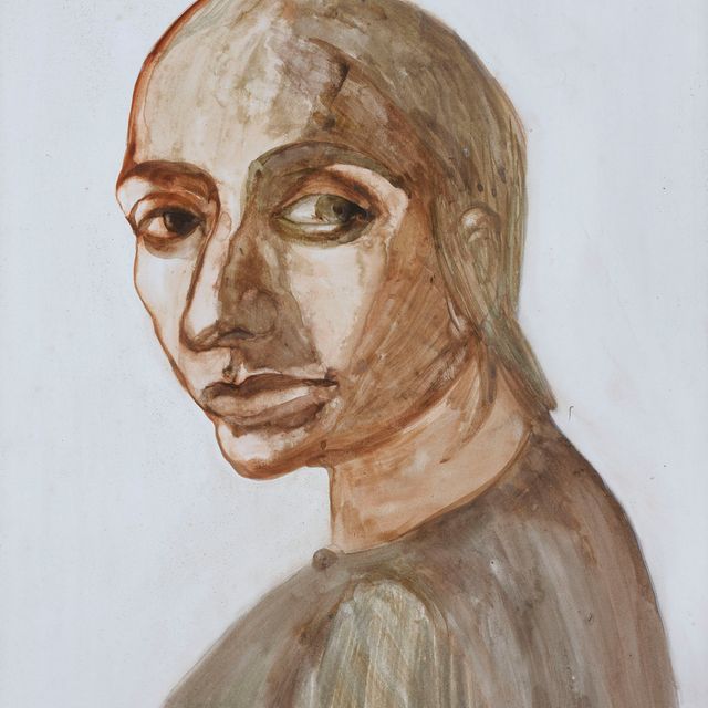 Nalini Malani — Портрет N (Насрин)