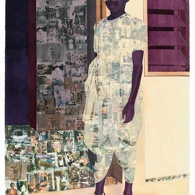 Njideka Akunyili Crosby — Самые красивые из них