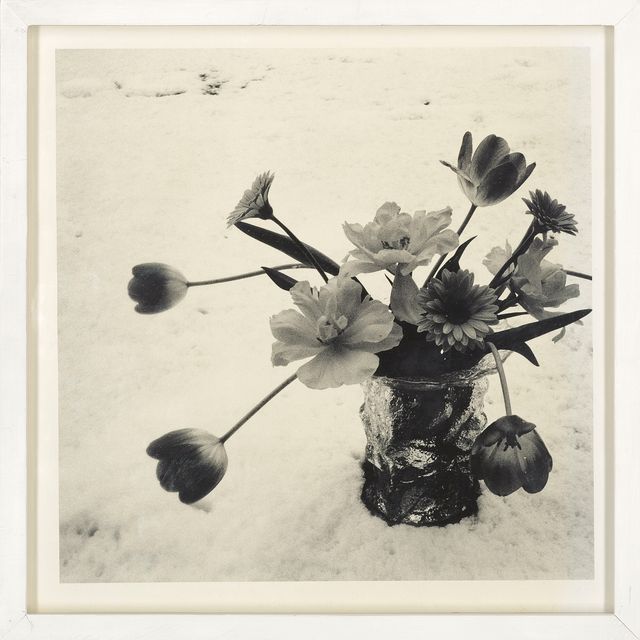 Nobuyoshi Araki — Токийский куб 19
