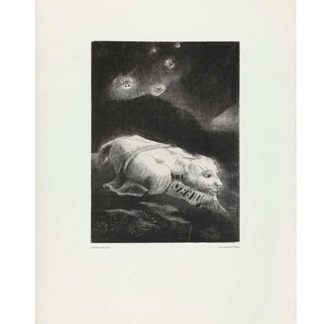 Odilon Redon — Вопрос о том, сохранилась ли жизнь в фонде неизвестной литературы; план выпуска альбома оригиналов