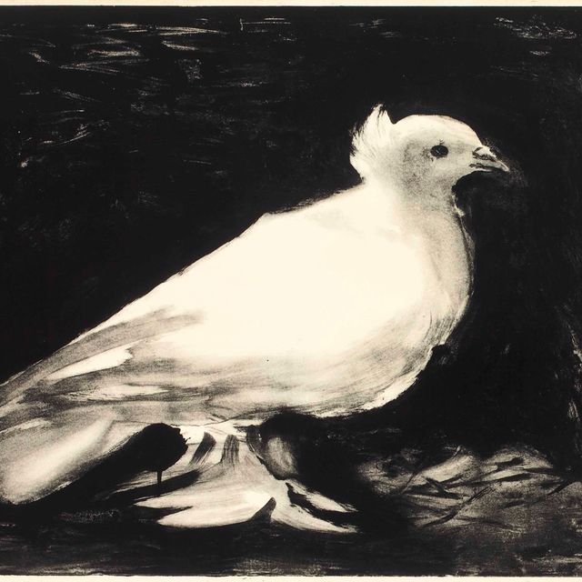 Pablo Picasso — Ла Коломб