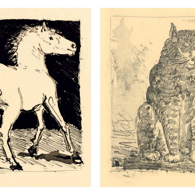 Pablo Picasso — Оригинальные туалетные воды для текстов Буффона, М. Фабиани, Париж, 1942 (стр. 328-358; Ba. 575-605; C. books 37)
