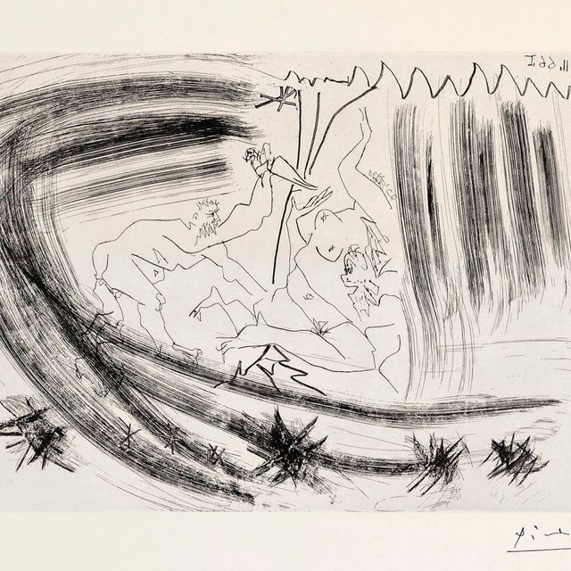 Pablo Picasso — Введение, от: Séries 156