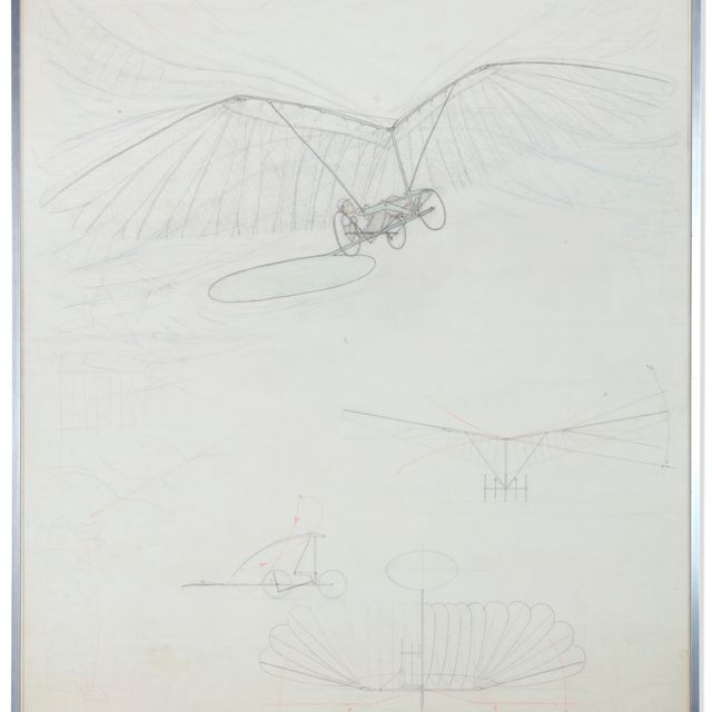 Panamarenko — Короткий размах крыла (Short Wing-Span)
