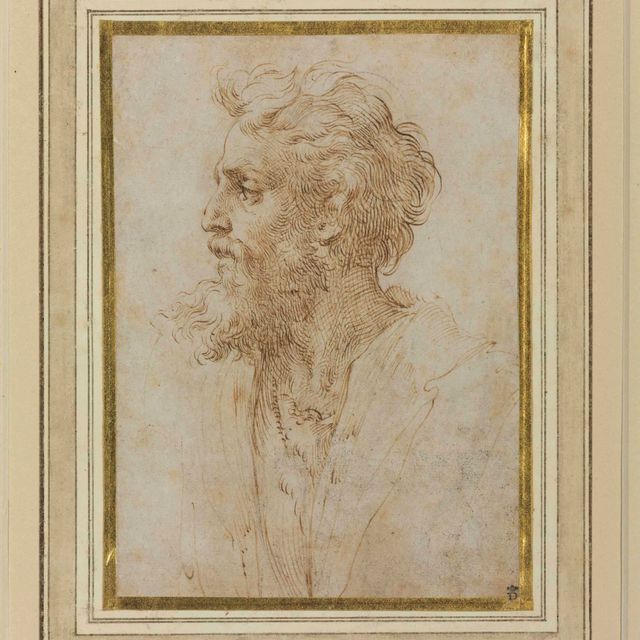 Parmigianino — Голова бородатого мужчины, повернутая в профиль влево, возможно, автопортрет