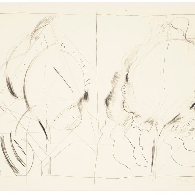 Pat Steir — Ирис