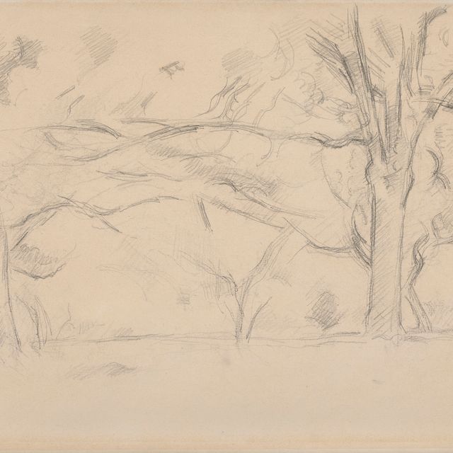 Paul Cézanne — Деревья