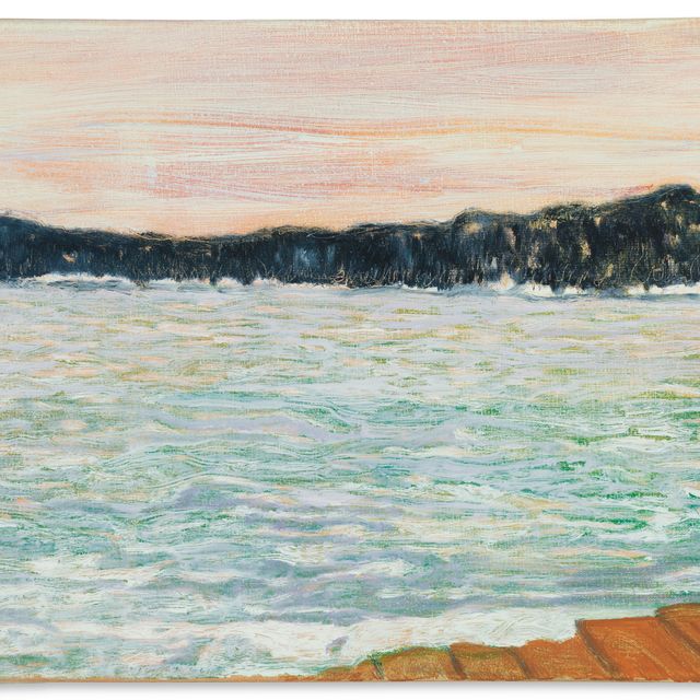 Peter Doig — Озеро художника