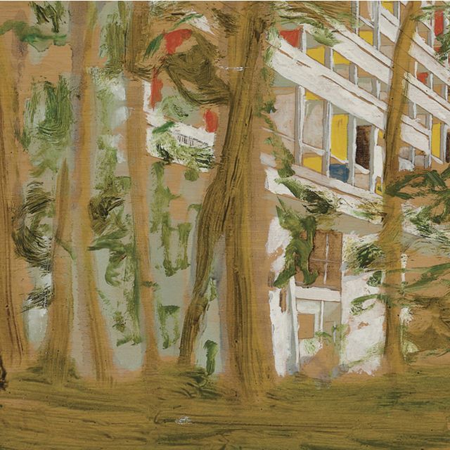 Peter Doig — Вкратце