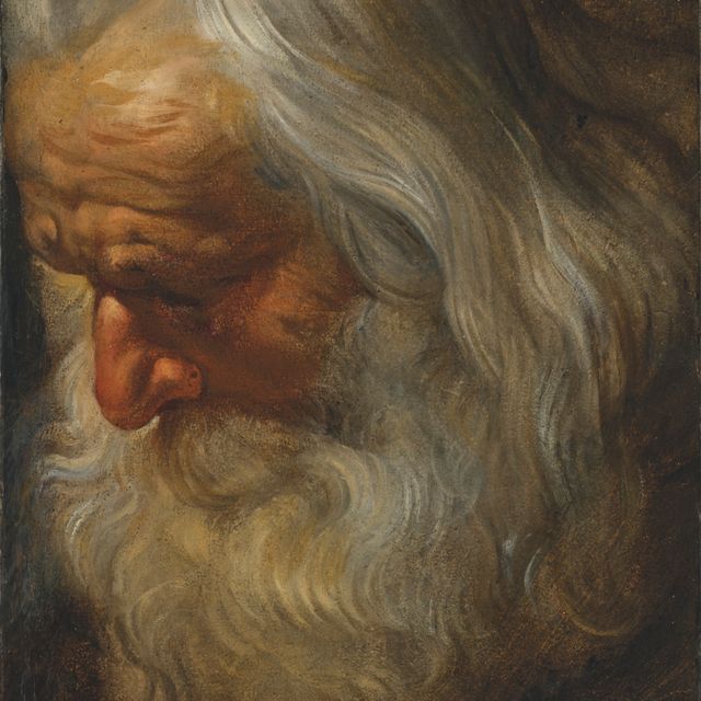Peter Paul Rubens — Главный кабинет бородатого старика