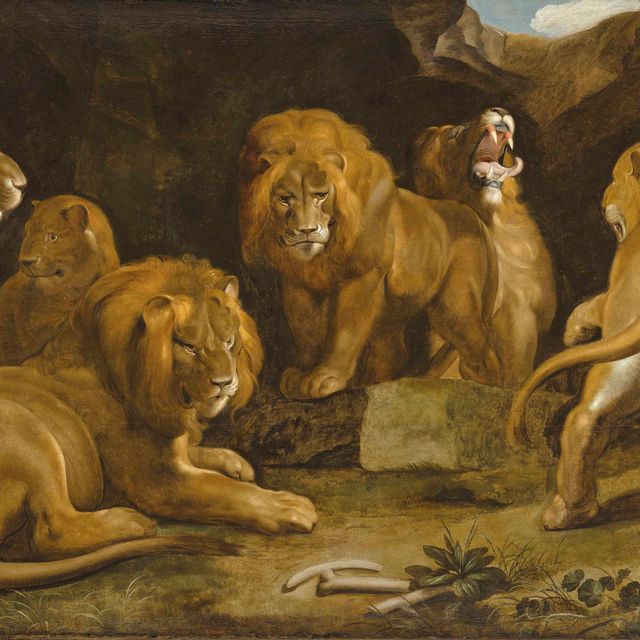Peter Paul Rubens — Логово львов