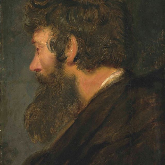 Peter Paul Rubens — Головной кабинет бородатого мужчины