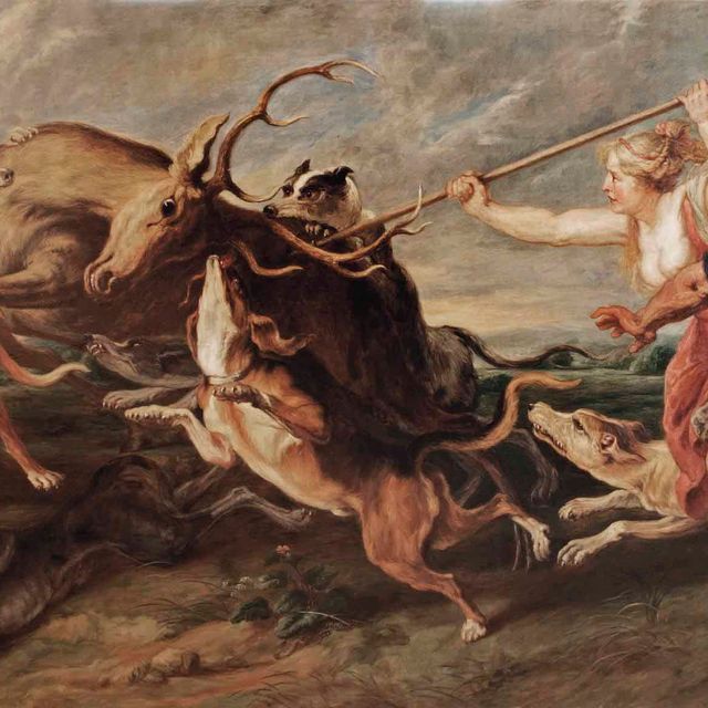 Peter Paul Rubens — Диана на охоте на оленя