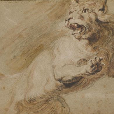 Peter Paul Rubens — Львиный ругатель