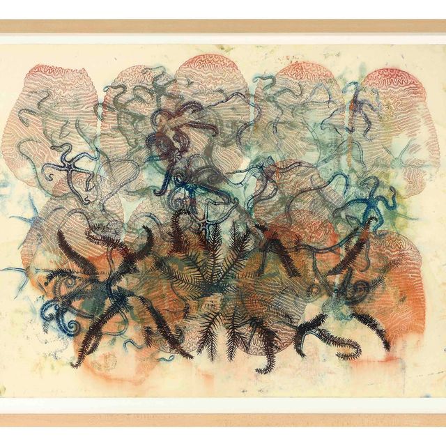 Philip Taaffe — Морские звезды и кораллы
