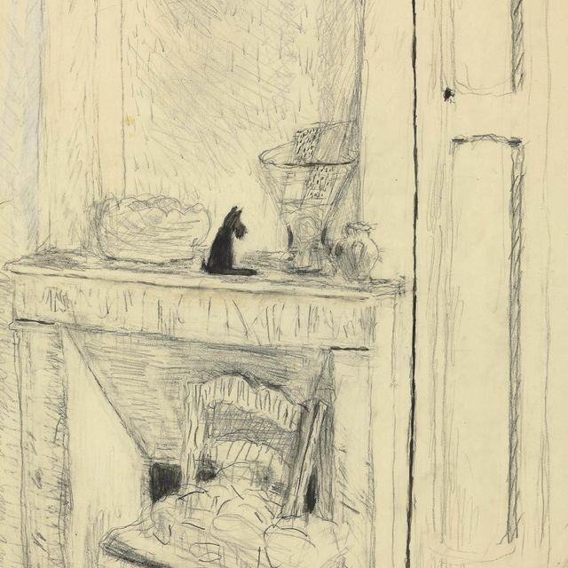 Pierre Bonnard — Интересующий