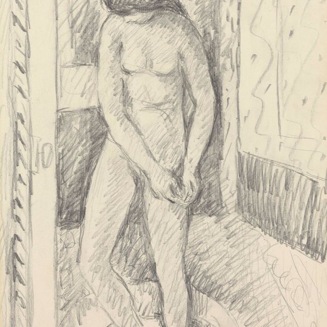 Pierre Bonnard — Новый дебют в туалете