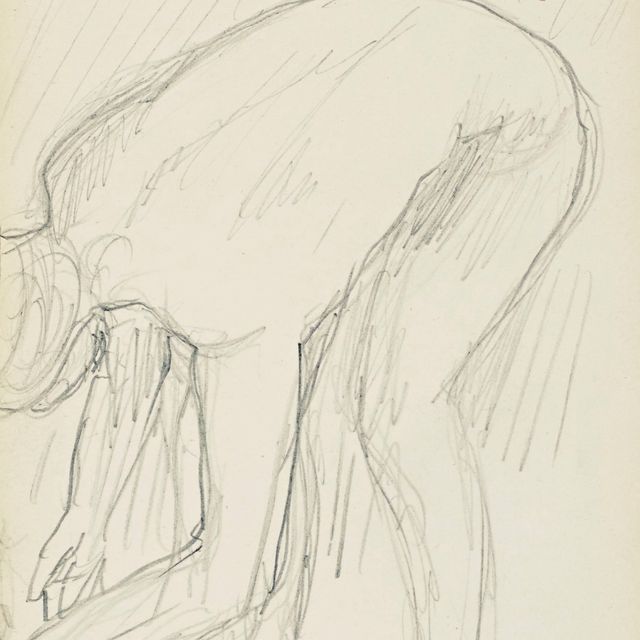 Pierre Bonnard — Ну а как насчет туалета