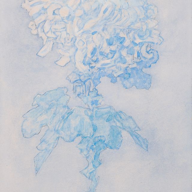 Piet Mondrian — Хризантема