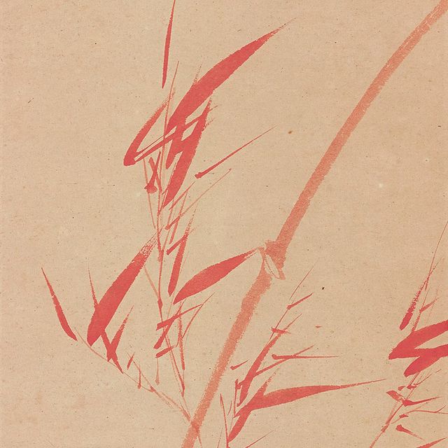 Pu Ru — Бамбук