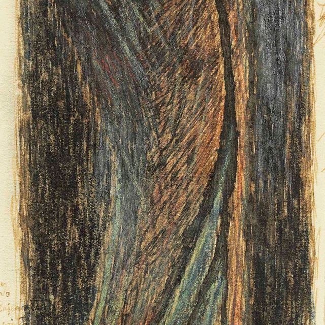 Rabindranath Tagore — Без названия (Водовоз)