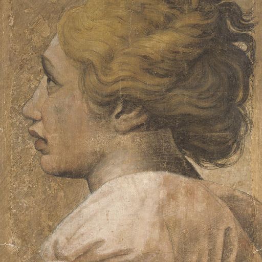 Raphael — Head of a youth in profile to the left: Cartoon for a tapestry