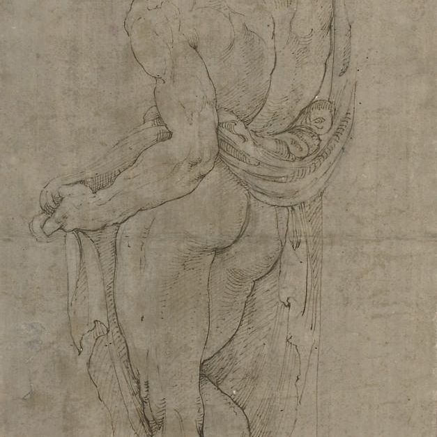 Raphael — Homme nu, vu de dos