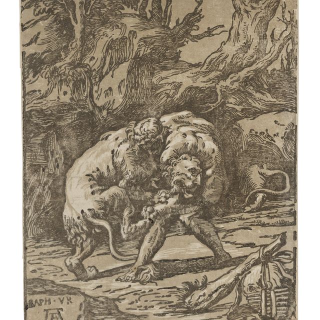 Raphael — Hercules and the Nemean Lion