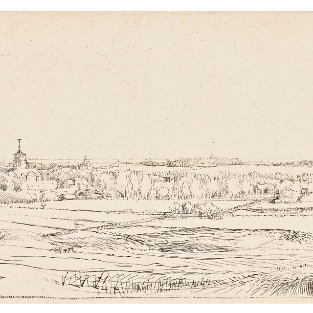 Rembrandt van Rijn — Панорама близ Блуменделя с видом на поместье Саксенбург ("Поле Гольдвейгера")