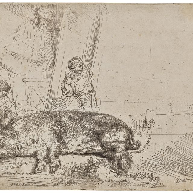 Rembrandt van Rijn — Тот самый Боров