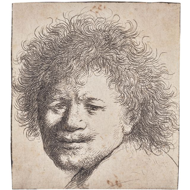 Rembrandt van Rijn — Автопортрет с длинными густыми волосами: только голова